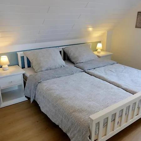 Seeschwalbe - Alte Schmiede Neugarmssiel *